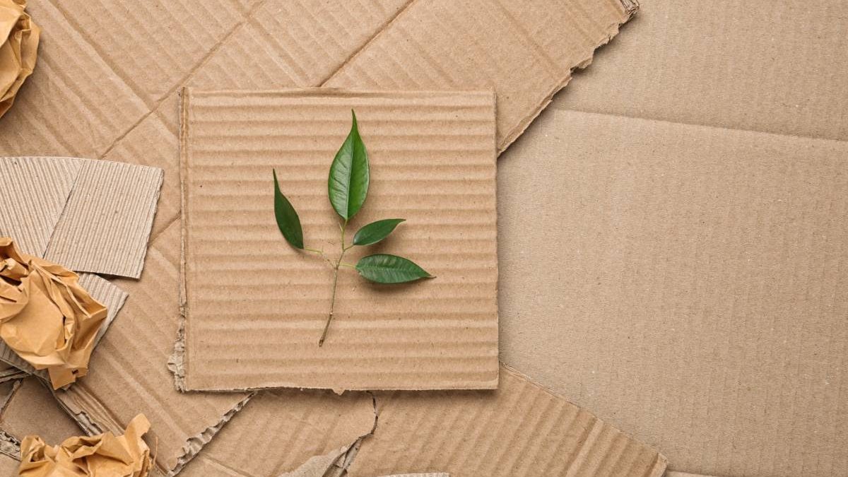 packaging-green-materiale-sostenibile-briver